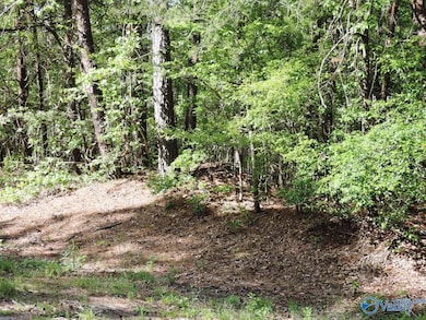 63 Timberline Cir, Jasper, AL 35504 - photo 2