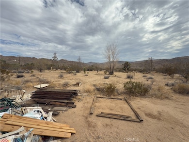 63576 Single Tree Rd, Joshua Tree, CA 92252 - photo 2