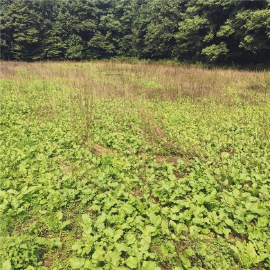 0 Barger Rd, Posey Township, IN 47024 - photo 4