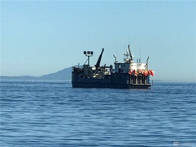 1549 Ocean View Ln, Point Roberts, WA 98281 - photo 6