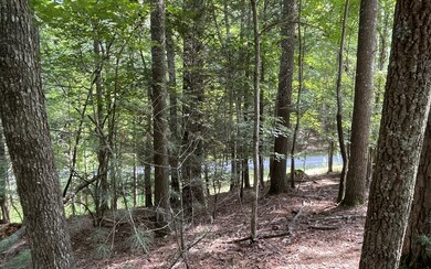 Additional View