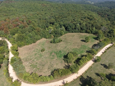 46A Lafferty Rd, Mount Pleasant, AR 72561 - photo 2