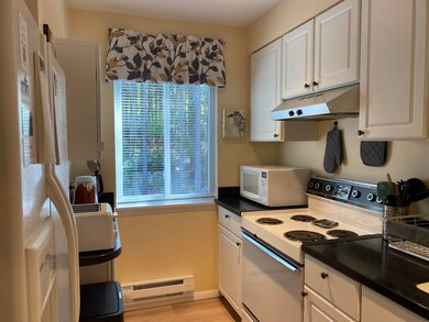 18 Windsor Hill Way unit C61, Waterville Valley, NH 03215 - photo 5