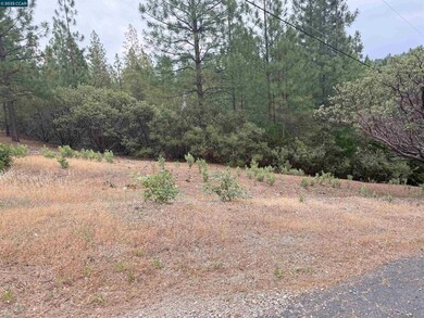 4227 Meadow View Rd, Forest Meadows, CA 95247 - photo 2