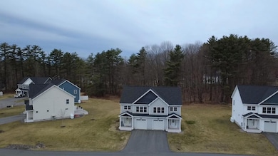 9 Junco Aerial 1