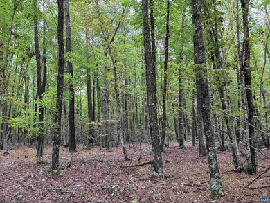 0 Meadow Creek Rd unit 669096, Wingina, VA 24599 - photo 4