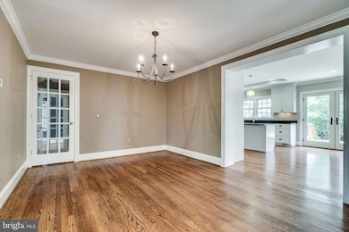 407 Yale Dr, Alexandria, VA 22314 - photo 7