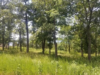 Tbd Summer Rd, Ruth B Rural Township, MO 65686 - photo 2