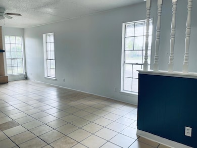 Spare room featuring plenty of natural light, a t
