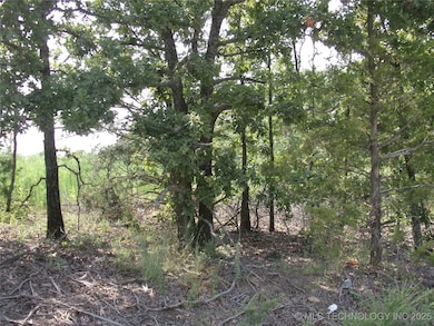 0 N 4230 Rd unit 2532428, Eufaula, OK 74432 - photo 2