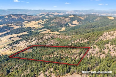 68X Highland Loop Rd, Kettle Falls, WA 99141 - photo 2