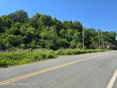 unlisted-address, Kingsley, PA 18826 - photo 7