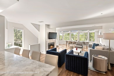 100 N 8th St unit 23, Aspen, CO 81611 - photo 2