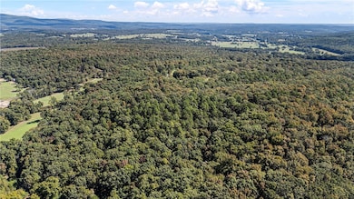 TRACTS 2 & 3 - 13610 Arkansas 105, Hector, AR 72843 - photo 3