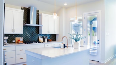 2825 Roost Ln, Round Rock, TX 78665 - photo 5