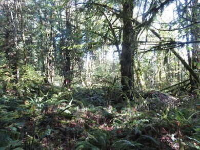 0 Klein Rd unit 17550674, Napavine, WA 98565 - photo 6