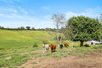 20250819164150694661000000-o