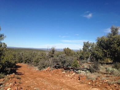 165 Off of Rocky Rd, Ash Fork, AZ 86320 - photo 3