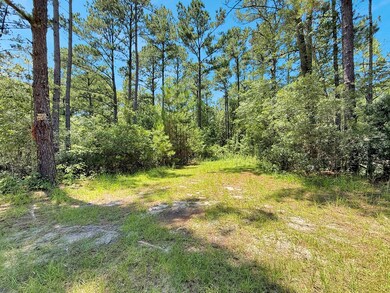 1056 Hempstead Church Rd, Pavo, GA 31778 - photo 6