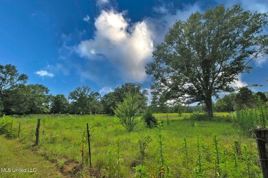 155 Glen Vincent Rd, Lucedale, MS 39452 - photo 5