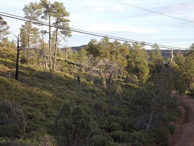 809 Wilderness Trail unit 131, Show Low, AZ 85901 - photo 7