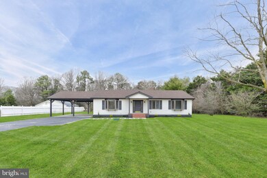 12791 Trussum Pond Rd, Laurel, DE 19956 - photo 5