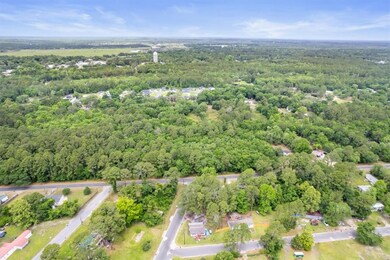 3.82 ACS W/S Black Rd SE, Darien, GA 31305 - photo 4