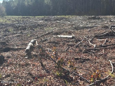 0 Crepe Myrtle unit 100543967, Wilson, NC 27896 - photo 2