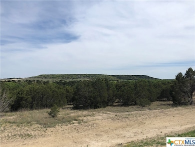 1253 Marissa Dr, Copperas Cove, TX 76522 - photo 4