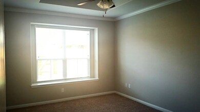 Carpeted spare room with ceiling fan, ornamental 