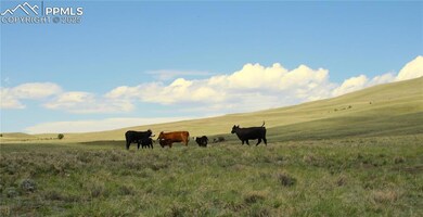 0 State Hwy unit 2777877, Guffey, CO 80820 - photo 3