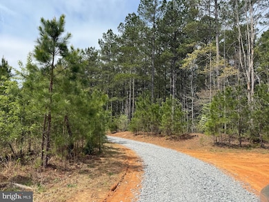 TBD 1 Covered Bridge Rd, Kents Store, VA 23084 - photo 6