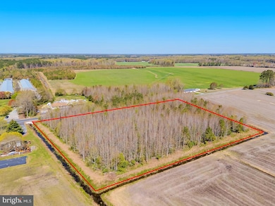 0 E Trap Pond Rd unit DESU2083648, Georgetown, DE 19947 - photo 5