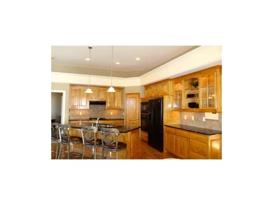 Open Kitchen with ebony granite counters