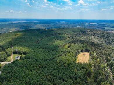 Cedar Grove Rd unit LotWP003, Salem, KY 42078 - photo 3