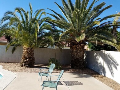 Date palms