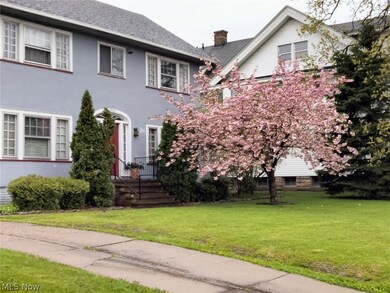 spring time flower blooms
