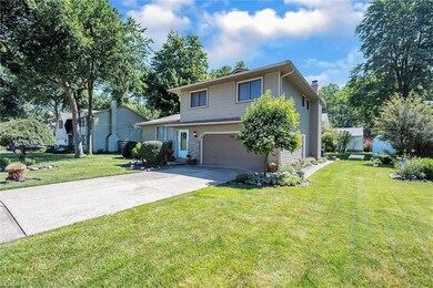 733 Maplewood Ave, Sheffield Lake, OH 44054 - photo 3