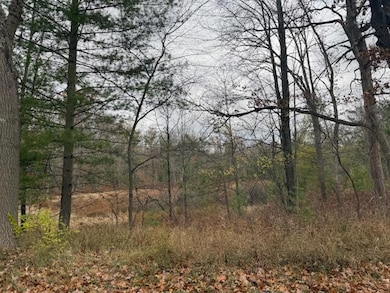 Parcel 2 Cleveland Dr, Bitely, MI 49309 - photo 7