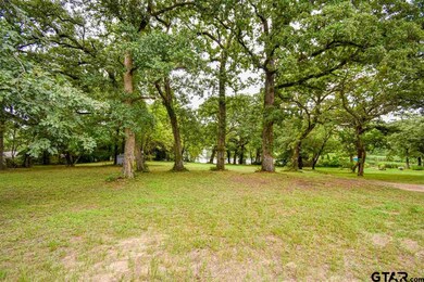 15834 County Road 288, Tyler, TX 75707 - photo 4