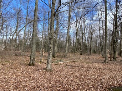 1018 W Wadi Rd W, Pocono Lake, PA 18347 - photo 4