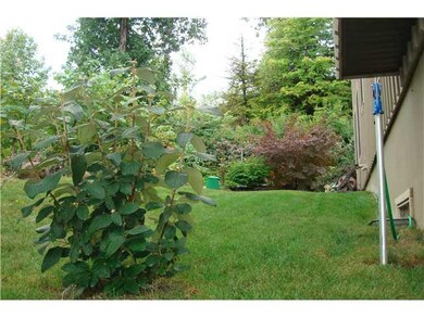 Yard/Garden