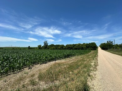 1717 Willow Rd, Temple, TX 76501 - photo 6