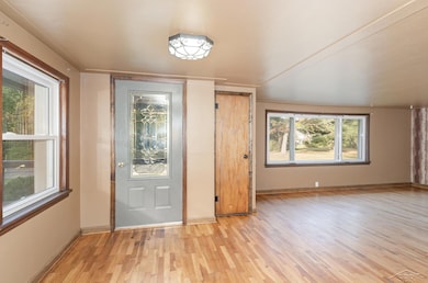 10001 Carr Rd, Saint Charles, MI 48655 - photo 6