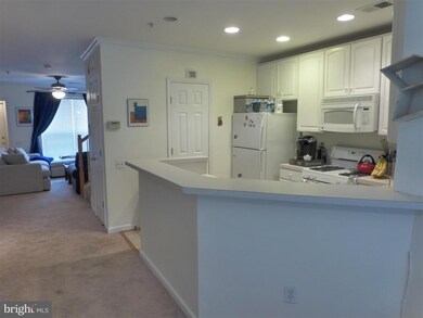 11213 Edson Park Place, Rockville, MD 20852 - photo 6