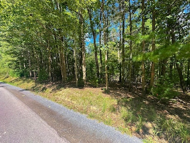 0 Muddy Creek Mountain Rd, Lewisburg, WV 24901 - photo 6