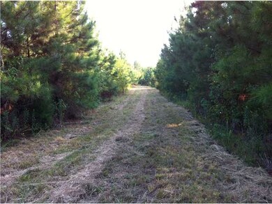 Well maintained trails