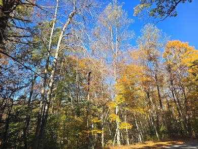 00 Rolling Hills Rd, Pineville, WV 24874 - photo 2