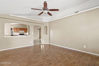 14101 de Stefano Ln, El Paso, TX 79928 - photo 4