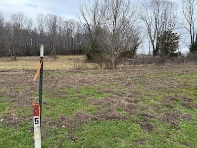 Lot 5 Thomas Twin Oaks Rd, Baxter, TN 38544 - photo 2